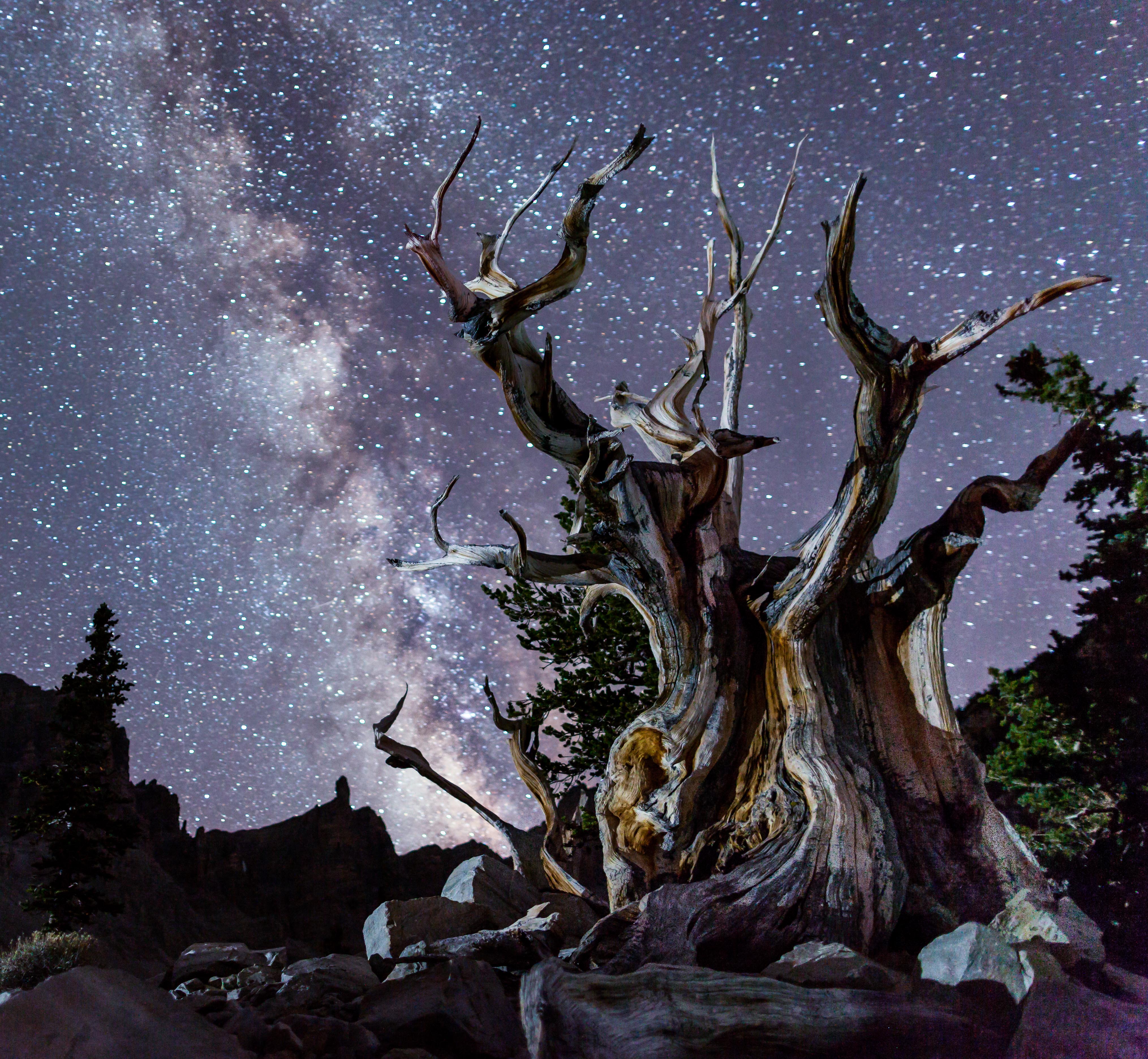 International Dark Sky Certification Great Basin National Park Foundation